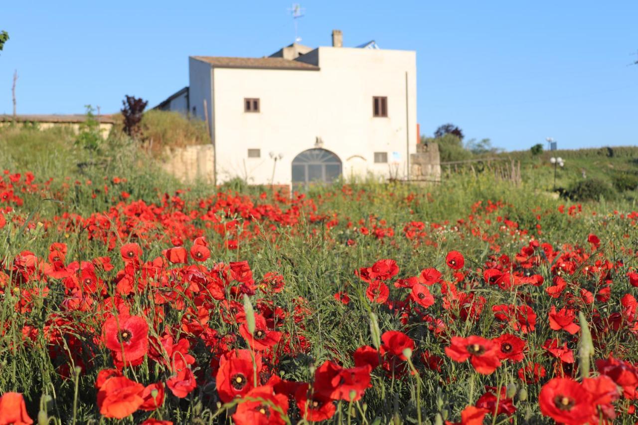 Masseria Agriturismo Moschella Posta Piana Bagian luar foto