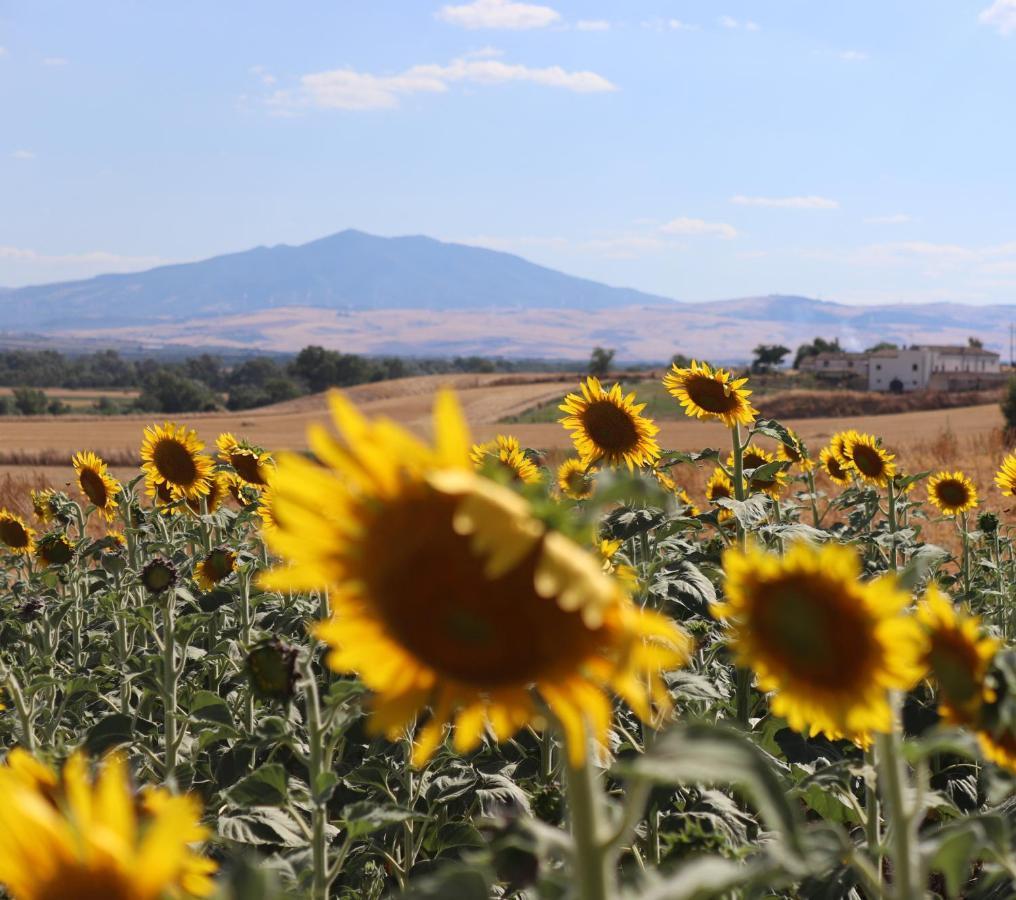 Masseria Agriturismo Moschella Posta Piana Bagian luar foto