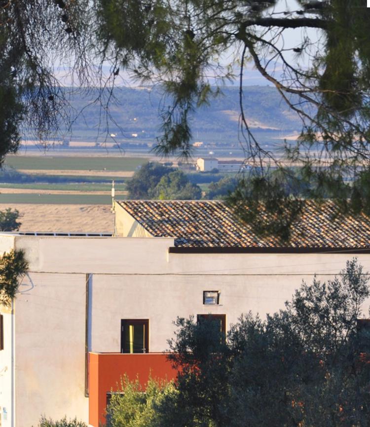 Masseria Agriturismo Moschella Posta Piana Bagian luar foto