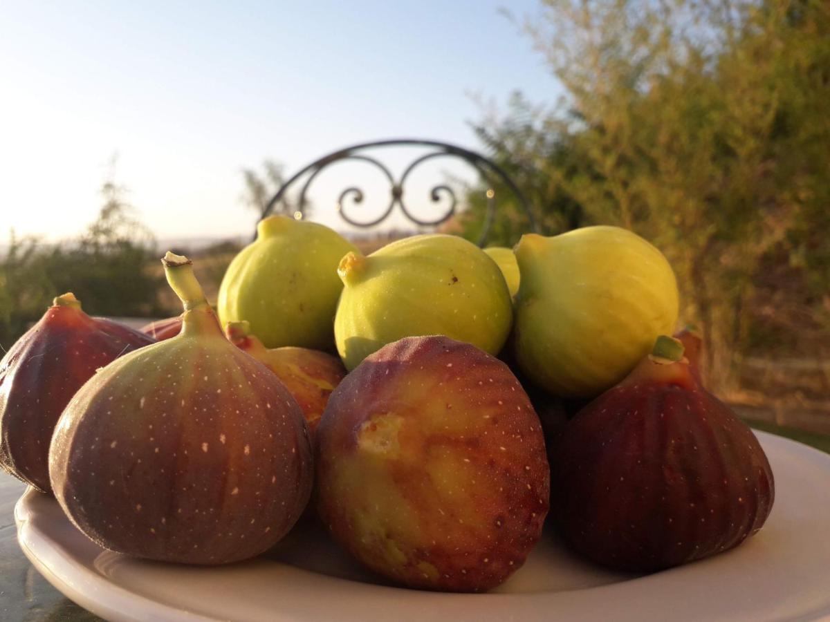 Masseria Agriturismo Moschella Posta Piana Bagian luar foto